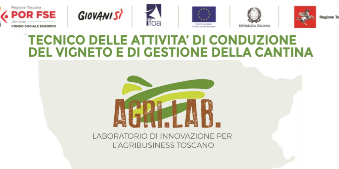 Tecnico delle Attività di Conduzione del Vigneto e di Gestione della Cantina